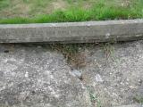 image of grave number 931431